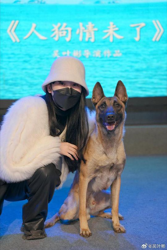 人狗情未了(2024)